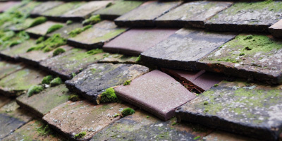 Woodhurst roof repair costs